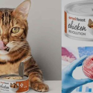 A UK-based Startup Has Developed a Cat Food Made with Lab-Grown Chicken