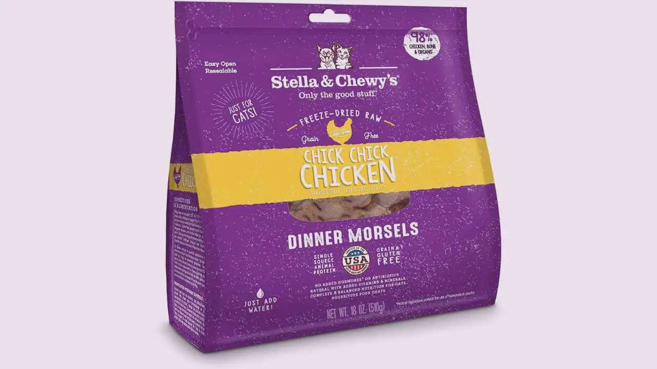 In Freeze-Dried Cat Food by Stella & Chewy’s